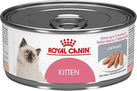 best wet cat food|consumer reports wet cat food.